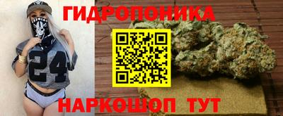 стафф Анжеро-Судженск