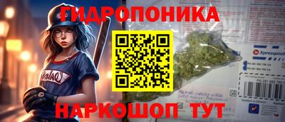 стафф Анжеро-Судженск