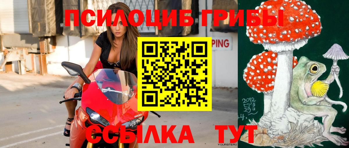 Галлюциногенные грибы Magic Shrooms  Вход с VPN  Галлюциногенные грибы GOLDEN TEACHER  Волгоград 